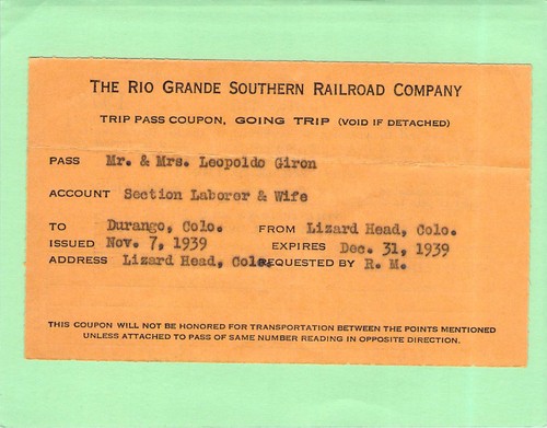 Rio grande southern lizard - grande,