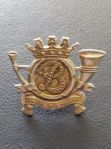 Armée belge insigne du - belge,
