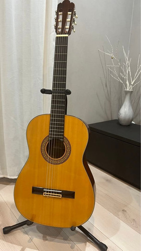 Guitare classique zen - zen-on, japan