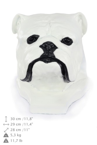 Bulldog anglais blanc harz - blanc,,