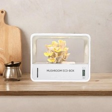 Chambre de fructification des