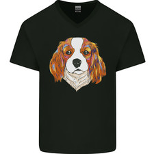 A Coloré King Charles Spaniel