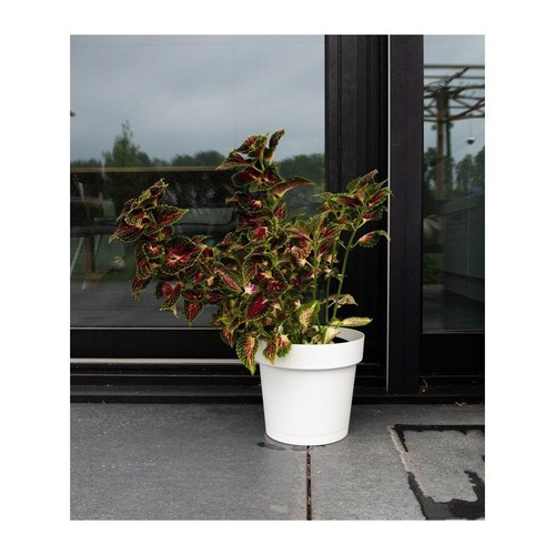 Pot fleurs avec réserve - de,