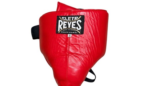 Cleto reyes kidney and - reyes, foul