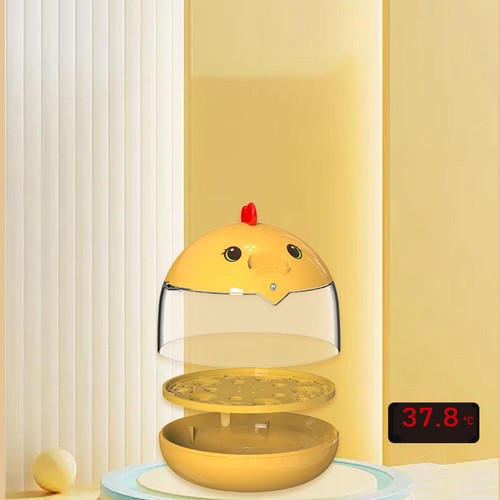 Automatique œufs avec - d'œufs,