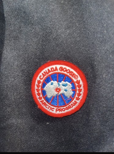 Ensemble canada goose - ensemble,