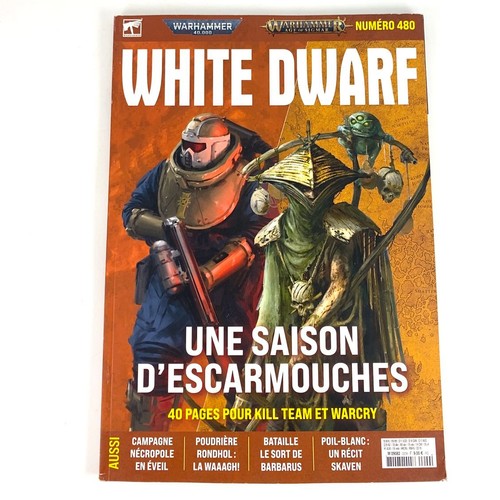White dwarf n 480 - x1,