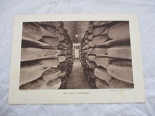 OLD CARDBOARD BOARD +- 1930 A CHEESE CELLAR