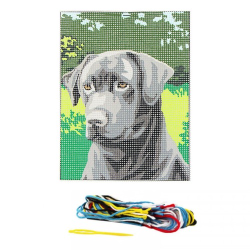 Kit complet canevas 20 cm - canevas,