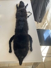 Étole vintage en véritable