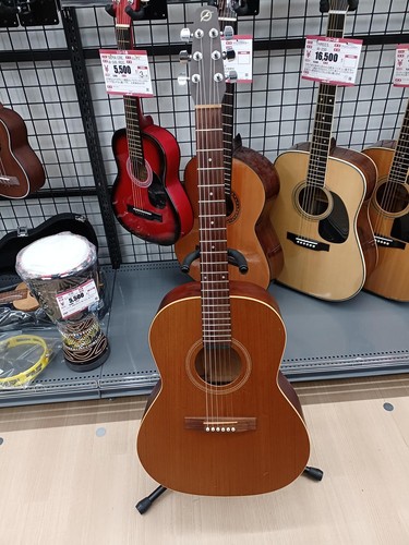 Guitare acoustique seagull - acoustique,