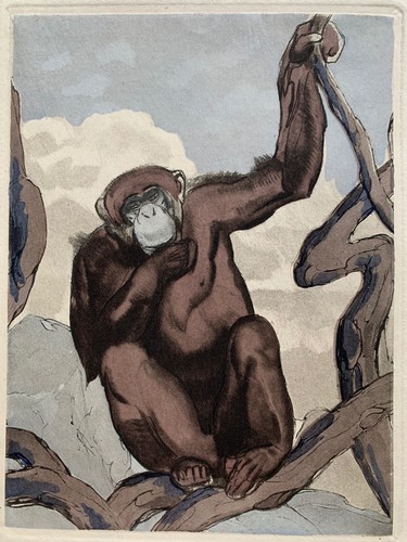 Paul jouve gravure animaliere - gravure,