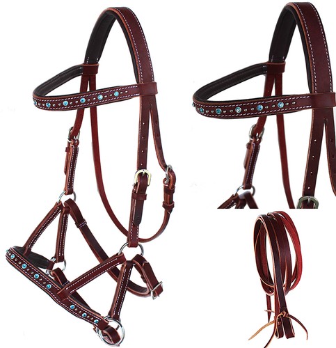 Horse western leather beaded - horse,