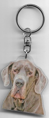 Dogue allemand porte clés - dogue,