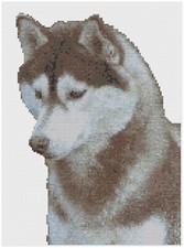 Modèle De Point De Croix Par Florashell - CHIEN HUSKY SIBÉRIEN