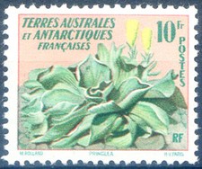 Flora. Fleur 1958.