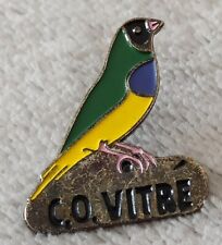 Bird Parakeet Bird Pines. black head. C.O Vitré. 35 ile et vilaine 