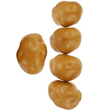  5pcs faux modèle de pomme de