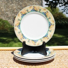 Set de 4 assiettes plates 20.8