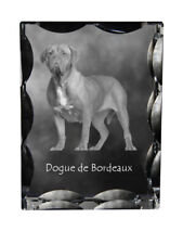 Bordeauxdogge, Dogue de