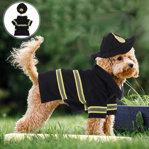 Deguisement chien grande - deguisement,