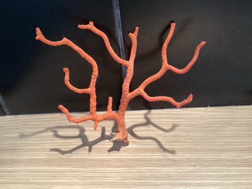 Grosse branche corail - de, rouge