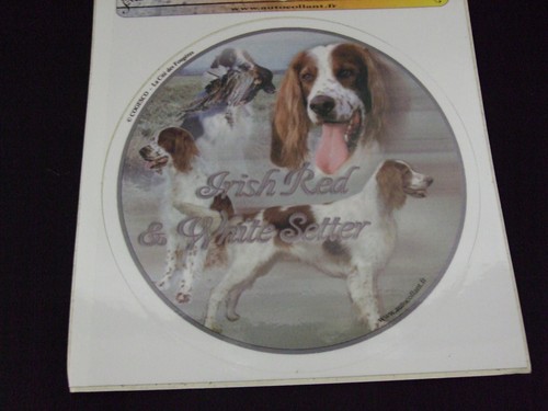 Autocollant motif chien - autocollant,