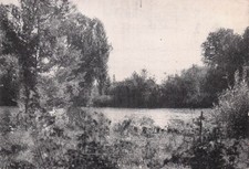 77 MONTIGNY SUR LOING LE LOING VU DES AULNES