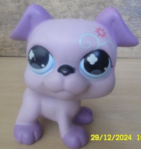Hasbro little petshop - mp/,
