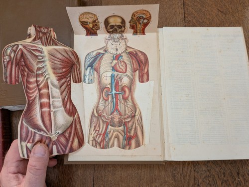 Livre ancien bilz - livre, la