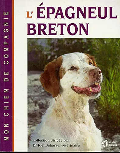 Epagneul breton joel - epagneul, breton,