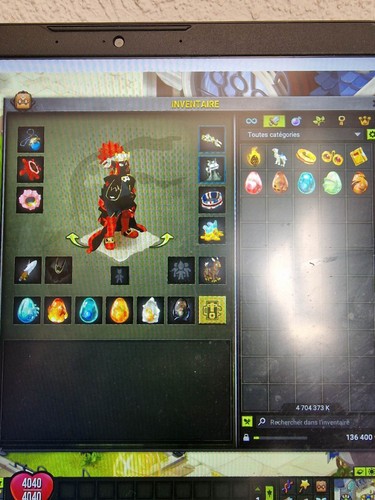Compte dofus roublard 200 - dofus,