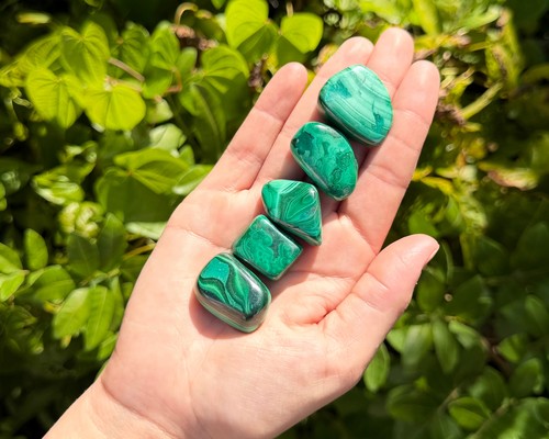 Malachite tumbled stones - tumbled,