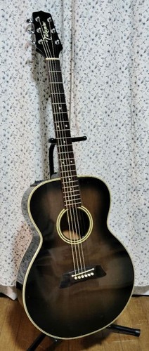 Guitare électrique acoustique