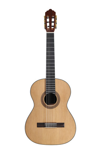 Zix guitars guitare concert - zix,