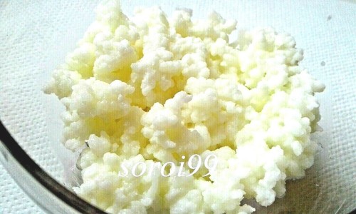 Grains kéfir lait 10g - grains,