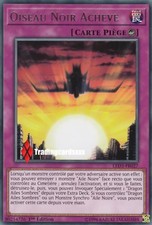 ♦Yu-Gi-Oh!♦ Oiseau Noir