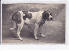 CASTILLONNES: dog, military text - very good condition