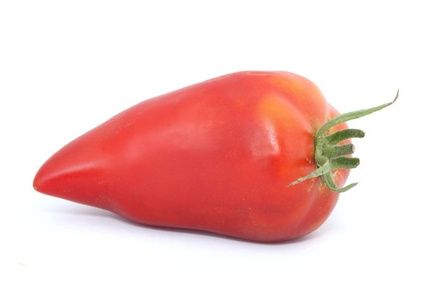 Tomate cornue des andes - des, 10