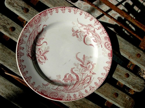 Belle assiette plate - belle,