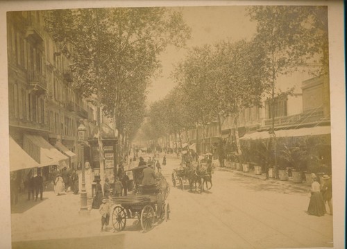 Grande albuminée nice xixè - albuminée,