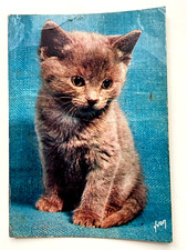 Carte Postale vintage Chaton