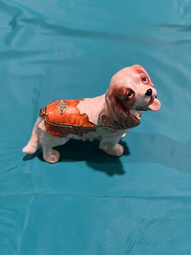 Cavalier king charles spaniel - king,