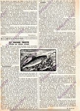GROSSE TRUITE PECHE AU VERON