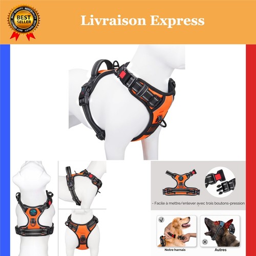 Harnais anti traction phoepet - harnais, anti-traction