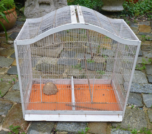 Grande cage oiseaux - cage, à