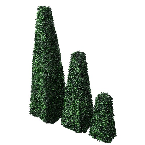 Lot topiaires pyramidales - de, 3