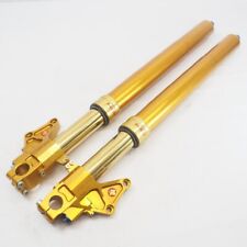 bimota SB8, SB8R, SB8K 99 PAIOLI front fork left and right SET