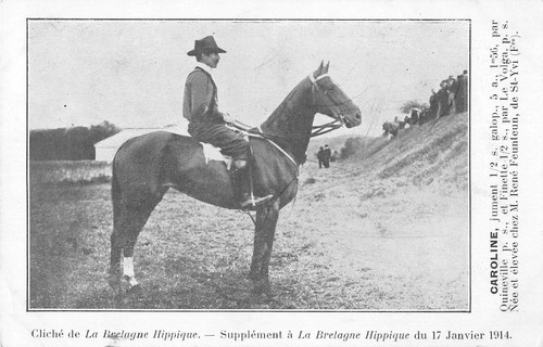 Cpa bretagne hippique - cpa, 29