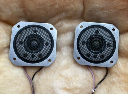 Paire tweeters yamaha - tweeters,